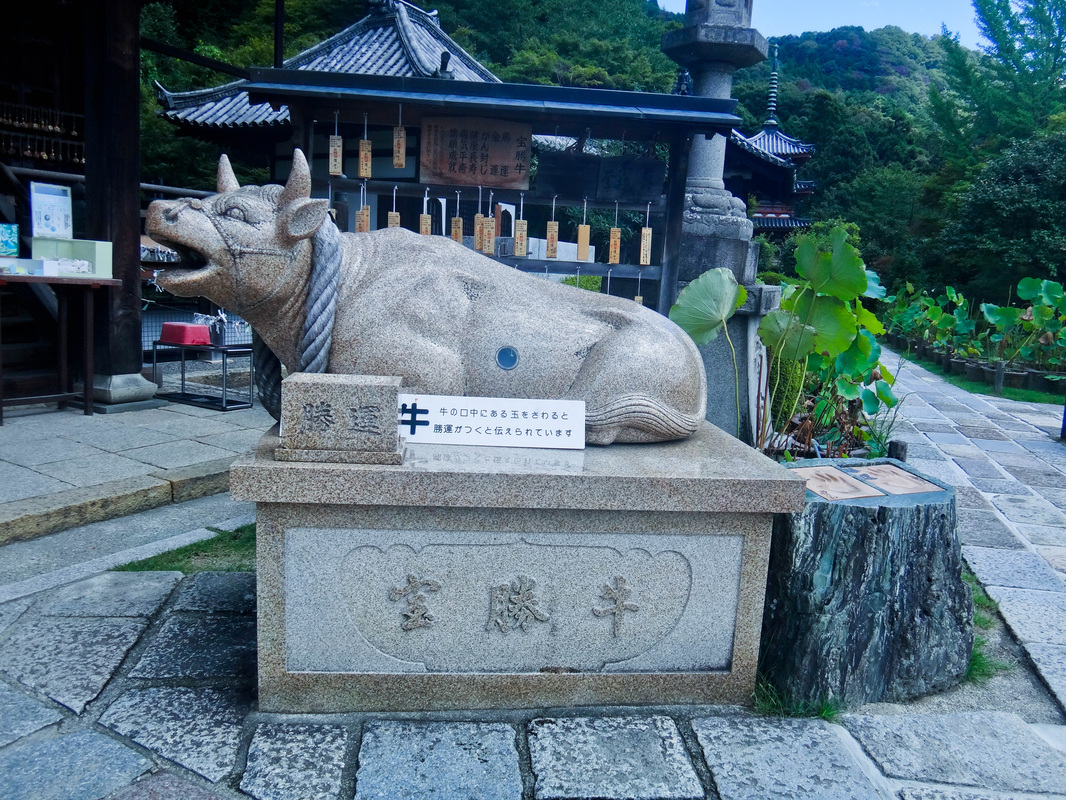 Cow at Mimurotoji Temple
