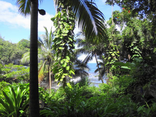 Hawaii Tropical Botanical Gardens